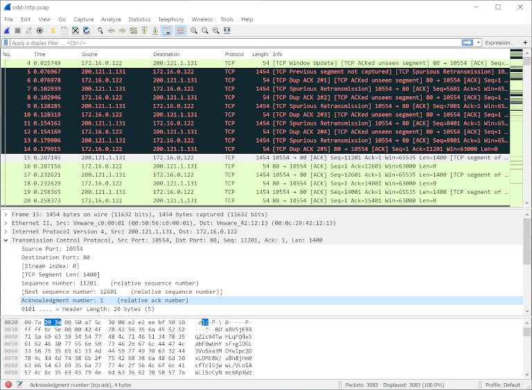 screenshot of wireshark showing tcp ping details